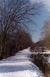 Towpath in Winter