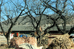 Great Wall at Huanghua