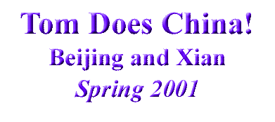 Tom does China, Beijing and Xian, Spring 2001