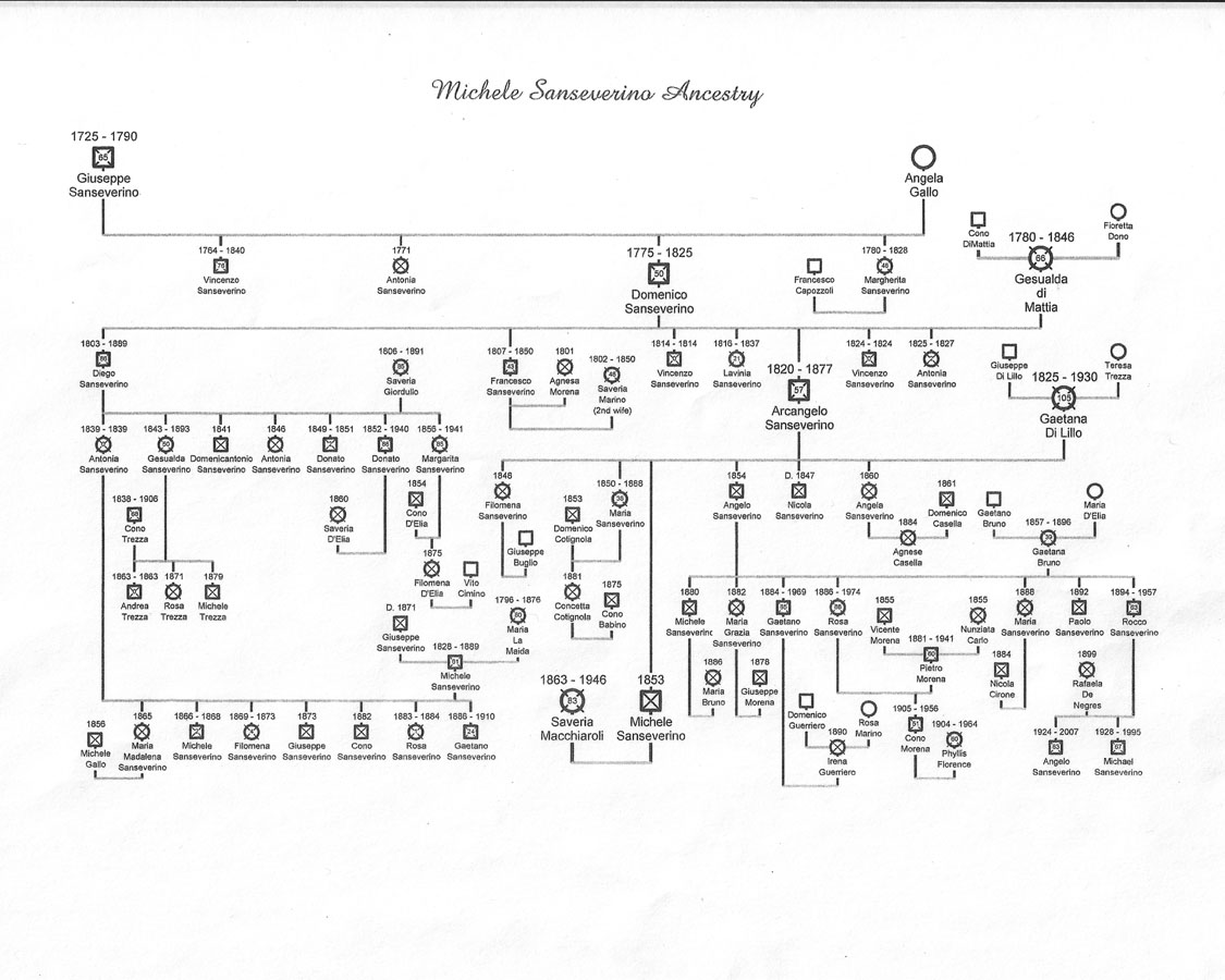 Michele Sanseverino Ancestry