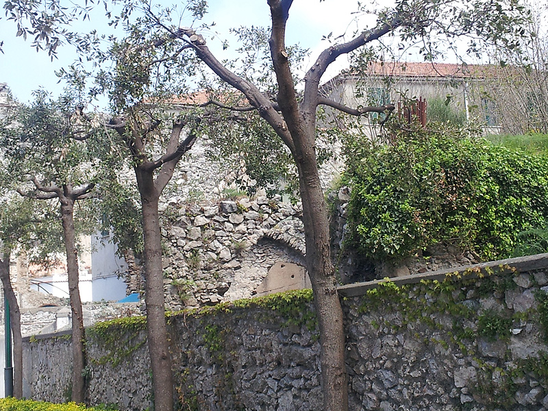 Amalfi Coast