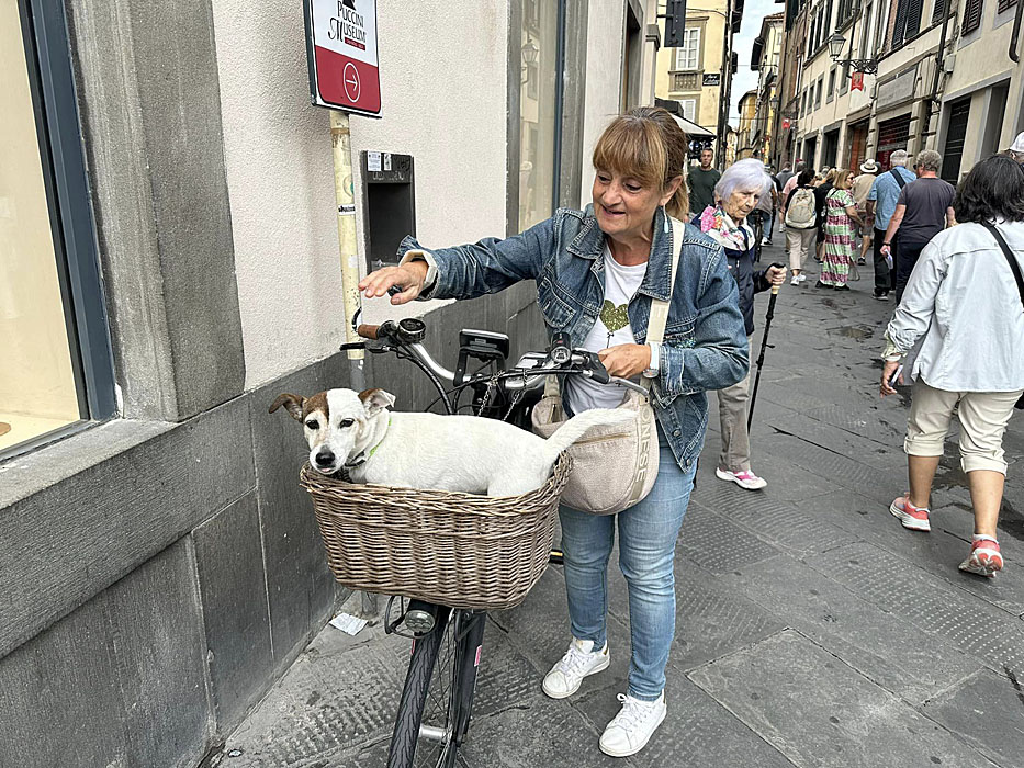 Lucca